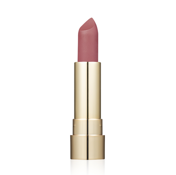 Помада для губ матова ProHD Soft Matte TopFace тон 009 Stylish 4 г