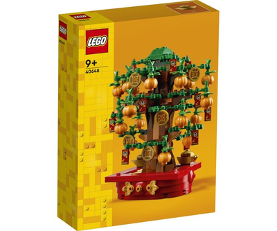 Конструктор LEGO Грошове дерево (40648)