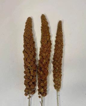 Чумыза колосья Premium RioPets 3 шт.