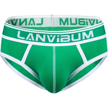 Труси бріфи чоловічі Lanvibum 04-2451 M колір зелений