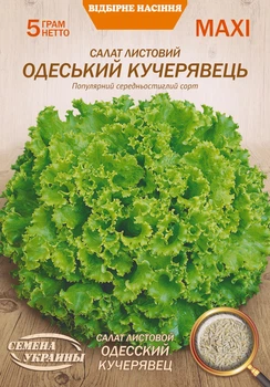 Салат Одесский кучерявец (среднеспелый) 5 г