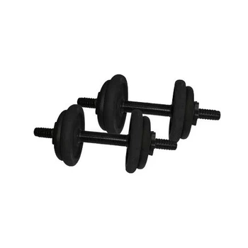 Гантели наборные литые 2 шт по 6,5 кг NE-300-GP007-2