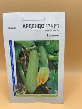 Семена Enza Zaden кабачок Ардендо 174 F1 10 шт