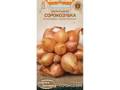Цибуля-шалот СЕМЕНА УКРАИНЫ (20 пачок) "СОРОКОЗУБКА" ОВ 0,25г