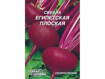 Буряк СЕМЕНА УКРАИНЫ (10 пачок) Гігант "Египетская плоская" 20 г