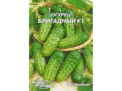 Огірок СЕМЕНА УКРАИНЫ (10 пачок) Гігант "Бригадный F1" 4 г
