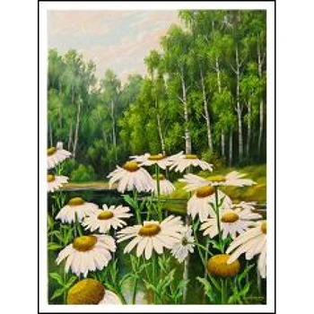 Картина за номерами 30х40 см DIY (без коробки) Ромашки (EKTL1494_O)