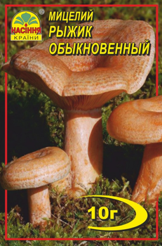 Мицелий (зерновой) Рыжик обыкновенный, 10 г (Насіння країни)
