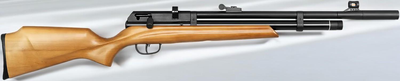 Гвинтівка пневматична Beeman Raider PCP
