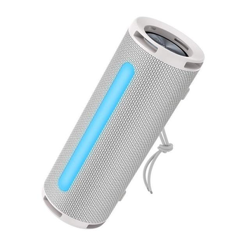 Портативная колонка BOROFONE BR31 Gamble sports BT5.3, AUX, USB, TF, FM, TWS, 10W, 3h speaker Gray