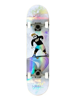 Скейтборд Enuff Skully Hologram Silver Mini 7.25 дюймів (fb116)
