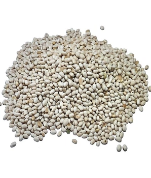 Семена фасоли Нэви Бинс (Navy Beans) 1 кг