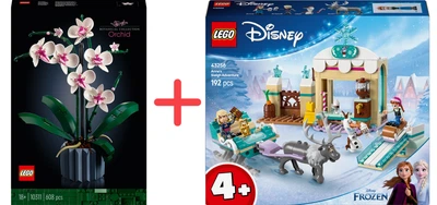 Набор конструкторов LEGO Botanicals Орхидея 608 деталей + Disney Приключения Анны на санях 192 детали (10311_43256)