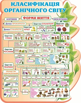 Навчальний пластиковий стенд «Класифікація органічного світу» 700мм×900мм (Арт1066)