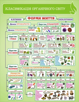 Стенд «Класифікація органічного світу» для кабінету біології 700мм×900мм (Арт1588)
