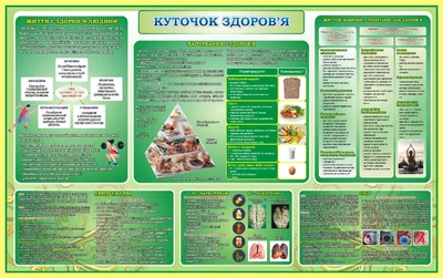 Стенд «Куточок здоров'я» для школи ліцею гімназії 1300мм×820мм (Арт1691)