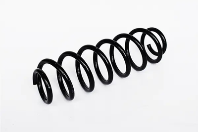 Пружина подвески задняя VW GOLF, SKODA OCTAVIA, VW JETTA, ASAM (73731)