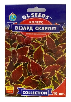 Насіння Колеус Візард Скарлет 10шт, GL Seeds