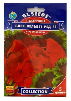 Насіння Пеларгонія Блек Вельвет Ред F1 5 гранул, GL Seeds