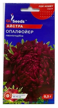 Насіння Айстра Опалфойер 0,3г, GL Seeds