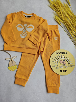 Дитячий костюм світшот та джогери Hummel 80 см помаранчевий 972459