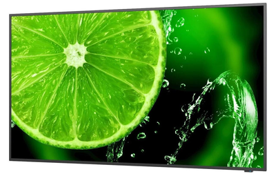 Монитор Nec MultiSync E498 black (60005052) EU