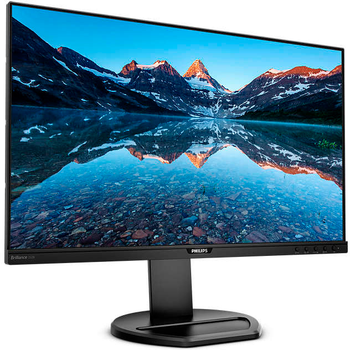 Монітор 25" Philips 252B9 (252B9/00)