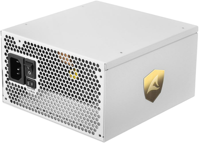 Блок питания Sharkoon Rebel P30 Gold ATX 3.0 1000 W (4044951038534)