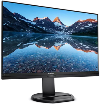 Монитор 24" Philips 240B9 Black (240B9/00)