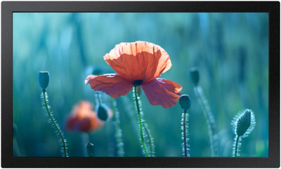 Монитор 13" Samsung LH13QBRMBGCXEN