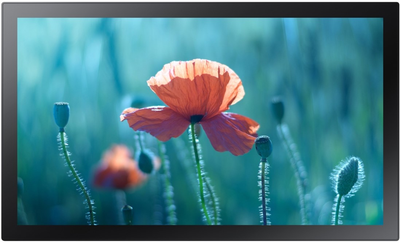 Монитор 13" Samsung QB13R-T (LH13QBRTMGCXEN)