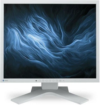 Монитор EIZO FlexScan 19" (S1934H GY)