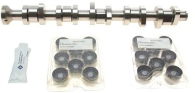 Комплект распредвала Ina VW T5 2.5 TDI 03-09, 96/120/128kw, (BNZ,AXD,BPC,AXE,BLJ) (428 0040 30)