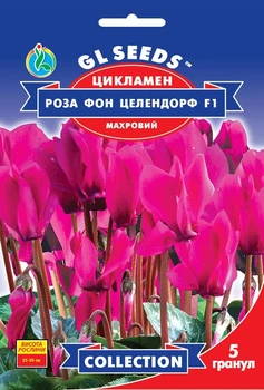 Насіння квітів Цикламен Троянда Фон Целендорф махровий F1 5 гранул, GL Seeds