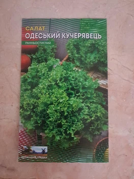 Семена Салат Одесский Кучерявец 20 грамм