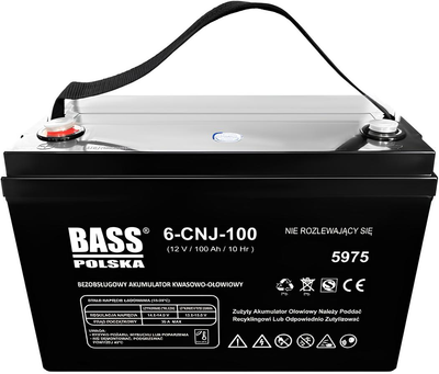 Аккумуляторная батарея Bass Polska AGM VRLA 100 Ah 5975 (5902067629383)