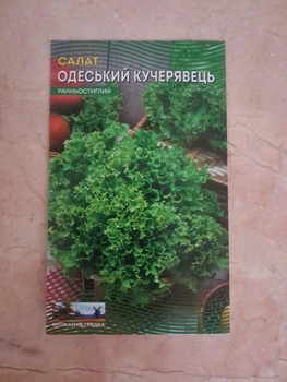 Семена Салат Одесский Кучерявец 5 грамм
