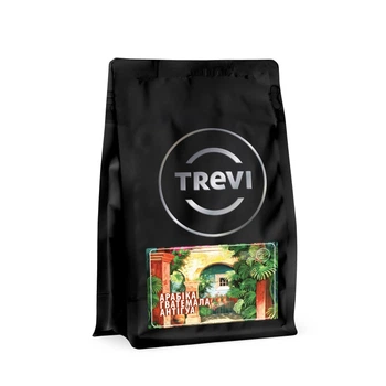 Кофе в зернах Trevi Арабика Гватемала Антигуа 250 г