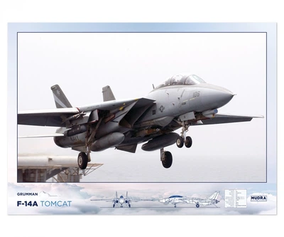 Постер CP F-14A Tomcat, Авіація 84х60 см (381)