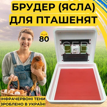 Брудер для цыплят (ясли) Рябушка с терморегулятором