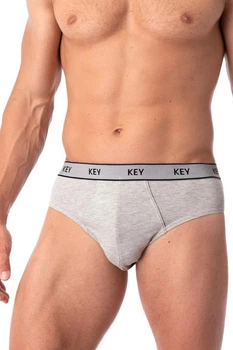 Трусы слип, 2 штуки Key 50(L) Серый (110405)