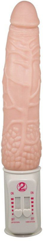 Вибратор You2Toys Push It (05487000000000000)