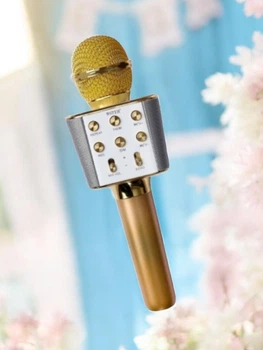 Микрофон для караоке динамический Bluetooth WSTER WS-1688 Pro Gold Золотой с FM радио на аккумуляторе