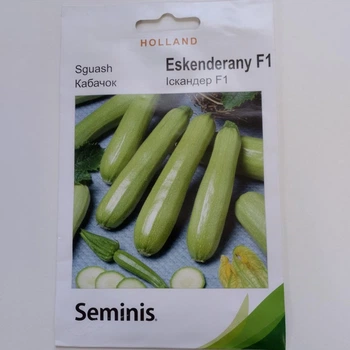 Кабачок "Eskenderany " Голландия 3 гр