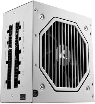 Zasilacz Sharkoon Rebel P20 ATX 3.1 750W White (4044951042401)