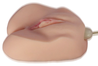Мастурбатор Penthouse Melissa Jacobs Signature Vibrating Pussy & Ass (18878000000000000)