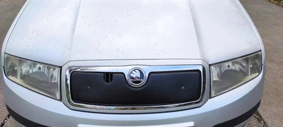 Матовая зимняя накладка на решетку радиатора для Skoda Fabia (2000-2007)