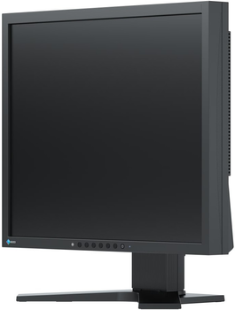 Монитор 19" EIZO FlexScan S1934H-BK