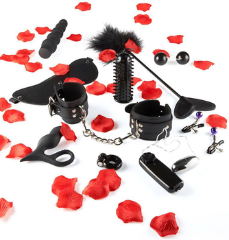 Секс-набір Lovetoy Starter Kit (13018000000000000)