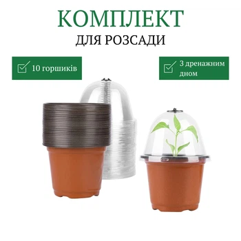 Горшочки (вазоны) для выращивания рассады 10 шт (коричневые)